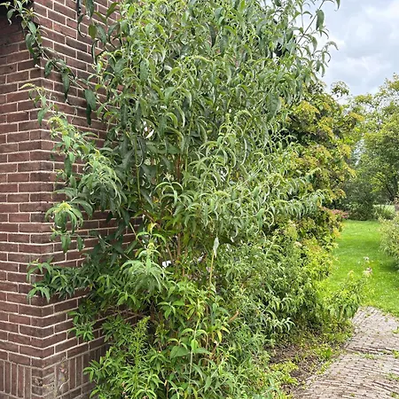 Amazing In With House Sea View *