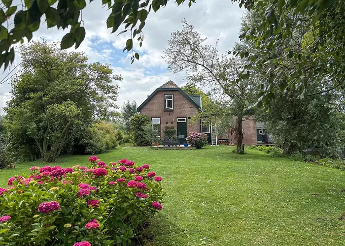 Amazing In With House Sea View *