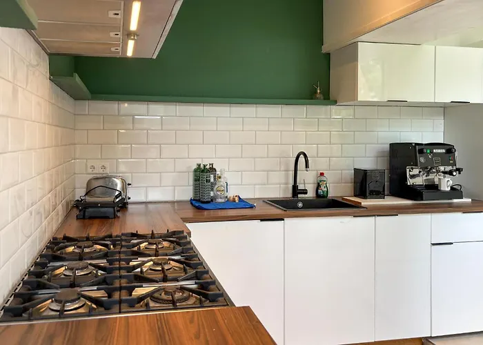 Amazing In With House Sea View Stolwijk