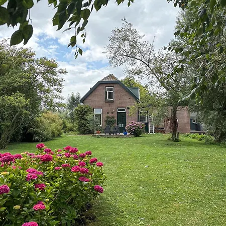 Amazing In With House Sea View *